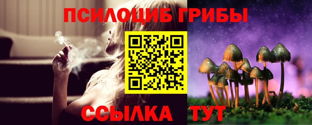 Чита  Галлюциногенные грибы мицелий  Вход с VPN 
